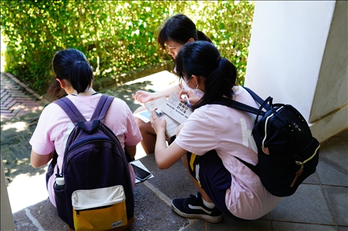 覓情記