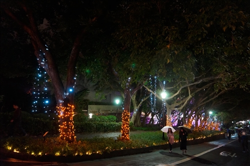 The TKU Christmas Lights Celebration