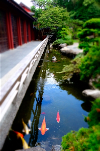 乘著夏日光影校園尋境。