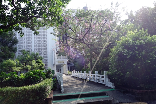 乘著夏日光影校園尋境。