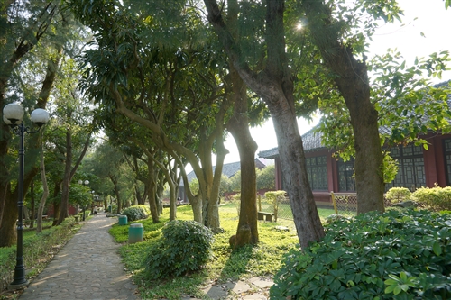 A Communication Takes Place Between the People and the Trees at TKU
