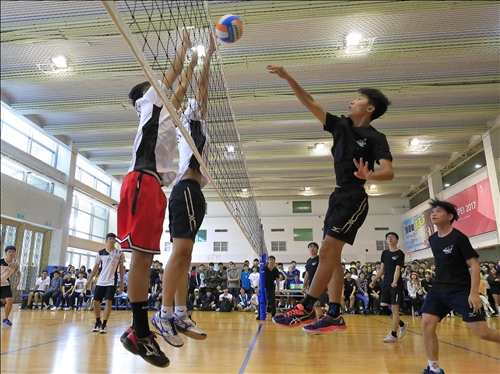 新生盃籃、排、羽、桌、網球賽果出爐