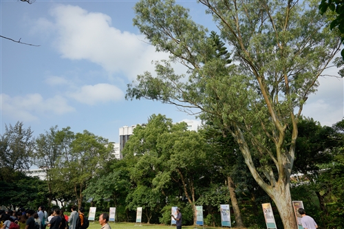 學務處舉辦「人、樹、珍重，一場人與樹的對話」活動。