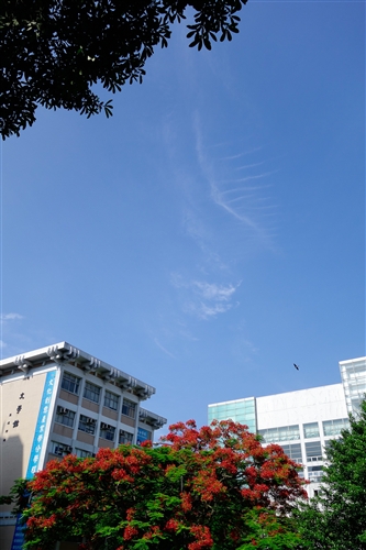 乘著夏日光影校園尋境。