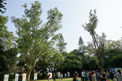 學務處舉辦「人、樹、珍重，一場人與樹的對話」活動。