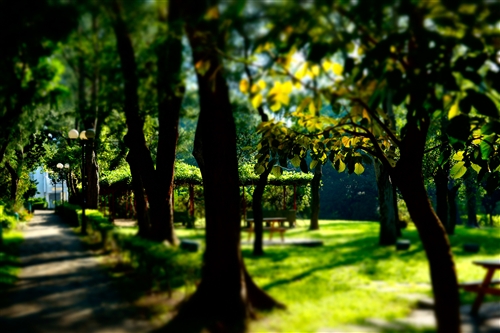 乘著夏日光影校園尋境。