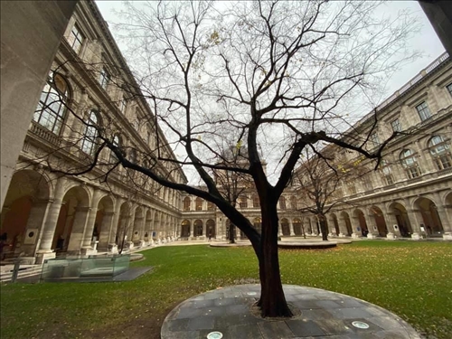 58-奧地利姊妹校維也納大學優美又古老的校園景緻