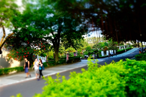 乘著夏日光影校園尋境。