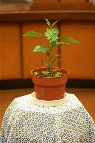 女教職員聯誼會與員工福利互助委員會在驚聲國際會議廳合辦「咖啡文化巡禮」講座，讓與會者體驗每個咖啡國度都有其特定的咖啡文化。