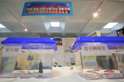 本校教學卓越計畫暨各學院教學成果展，本週在淡水校園商管展示廳展出。