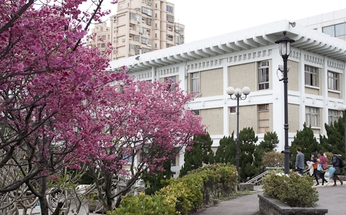 乍暖還寒逢春時，本校校花--櫻花，已悄然地在校園各角落如海事博物館旁、牧羊草坪、瀛苑前及學生活動中心旁正綻放著一樹芳華，緋紅色的花朵嬌豔地迎接剛開學的學子。