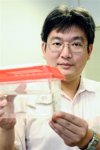 本校生命科學研究所所長王三郎及副教授陳曜鴻研究獨步全球，分別發現產生納豆激酶的全新菌種--假單胞菌TKU015及基因突變的斑馬魚，可望應用於保健食品、化妝品及美容醫療上。