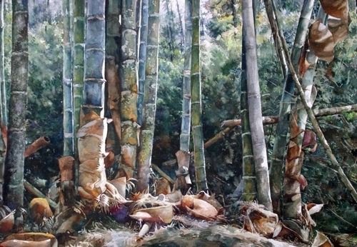 文錙藝術中心自即日起至7月20日止舉辦「台灣的森林水彩特展」，展出83件傳達台灣寶島森林之美作品，讓全校師生更了解環境保育與建造健康森林的重要性。