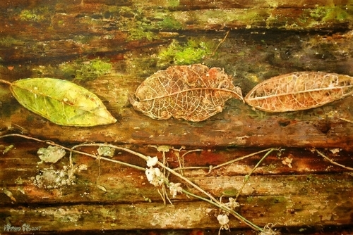 文錙藝術中心自即日起至7月20日止舉辦「台灣的森林水彩特展」，展出83件傳達台灣寶島森林之美作品，讓全校師生更了解環境保育與建造健康森林的重要性。