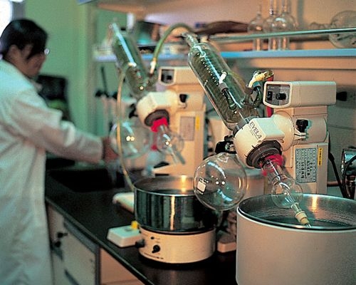 高等教育評鑑中心基金會公布全國大學校院Web of Science（WOS）「自然科學類學門」全國前20%的排名，本校8個學門進入WOS排名，尤其數學、資訊和化工學門更進入10名之內