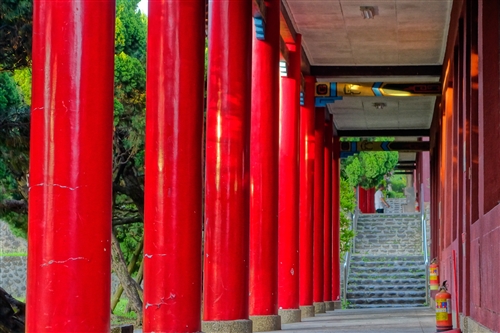 乘著夏日光影校園尋境。