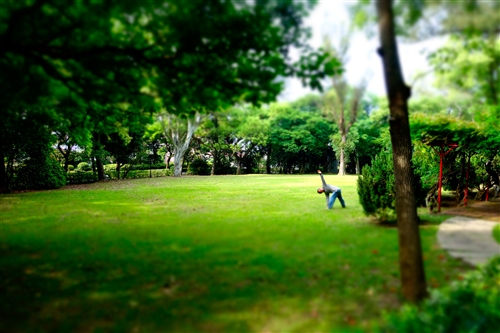 乘著夏日光影校園尋境。