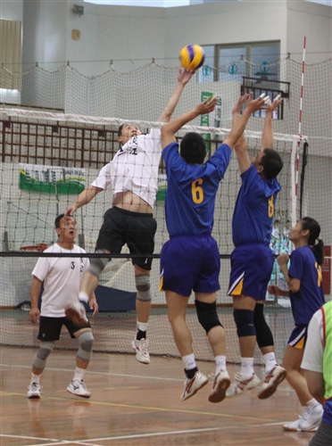 TKU Faculty Triumph in Volleyball Competition