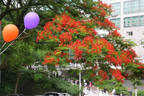2013 Tamkang University Commencement