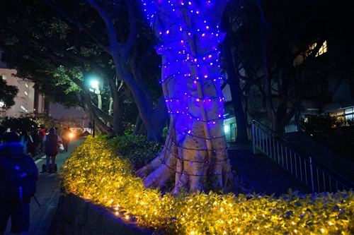 TKU Lights Up for the Christmas Season