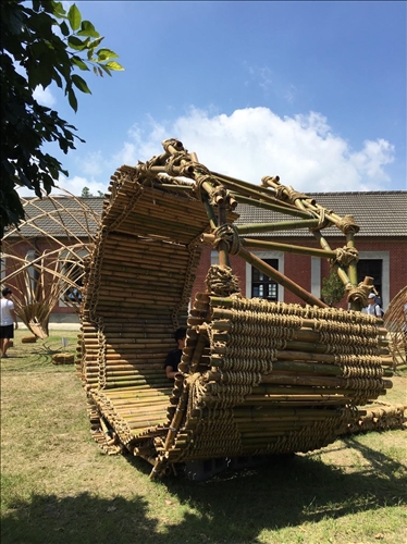 Showcasing the Beauty of Bamboo