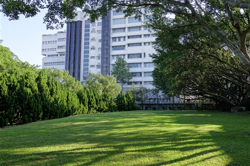 Summertime On TKU Campus