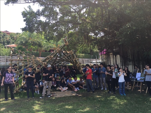 Showcasing the Beauty of Bamboo