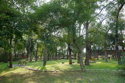 A Communication Takes Place Between the People and the Trees at TKU