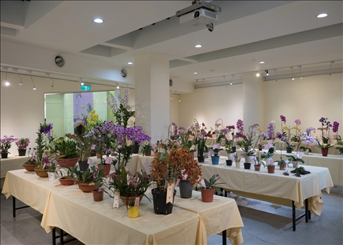 An Orchid Exhibition at the TKU Tamsui Campus