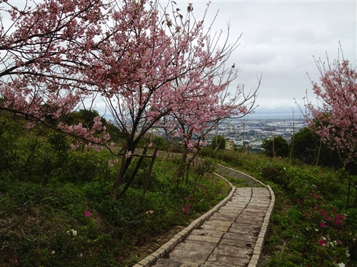 Spring is in the Air at TKU