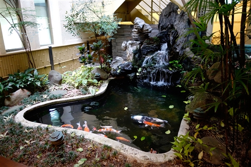 Spring is in the Air at TKU