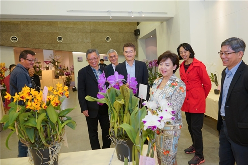 An Orchid Exhibition at the TKU Tamsui Campus