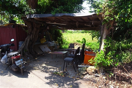 Department of Architecture Cooperates with Dan Hai Farmers