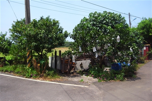 Department of Architecture Cooperates with Dan Hai Farmers