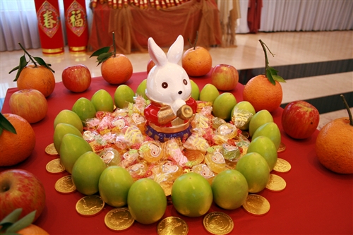 The Year of the Rabbit and Two TKU Institutes
