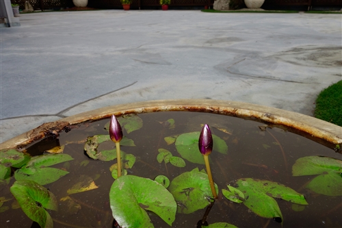 Spring is in the Air at TKU