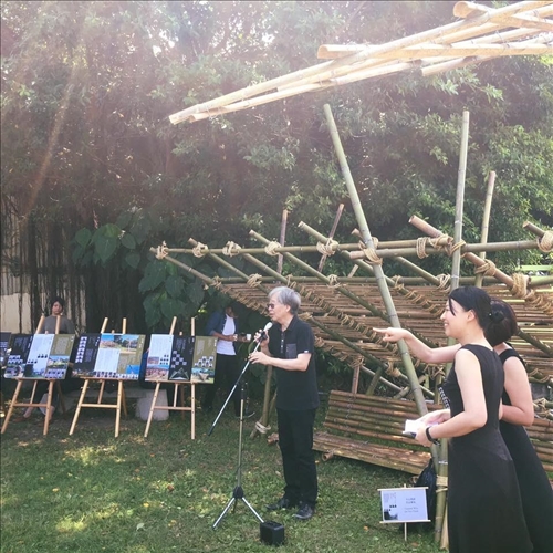 Showcasing the Beauty of Bamboo