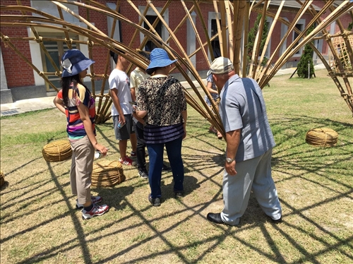 Showcasing the Beauty of Bamboo