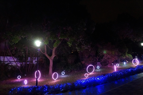 The TKU Christmas Lights Celebration