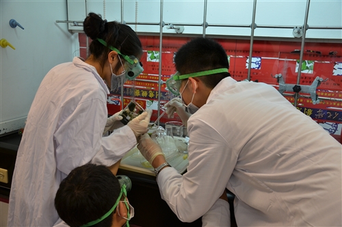 The Ninth Annual Chung Ling Chemistry Competition Takes Place On Tamkang Campus