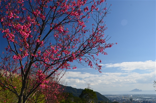 Spring is in the Air at TKU