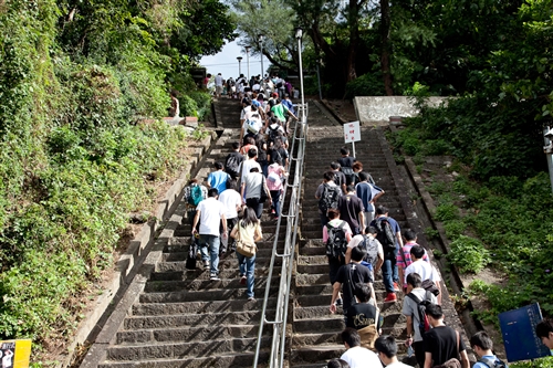 Scaling the slopes of success