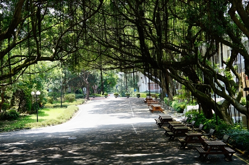 Summertime On TKU Campus