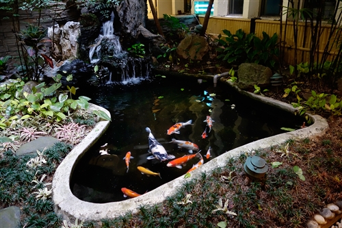Spring is in the Air at TKU