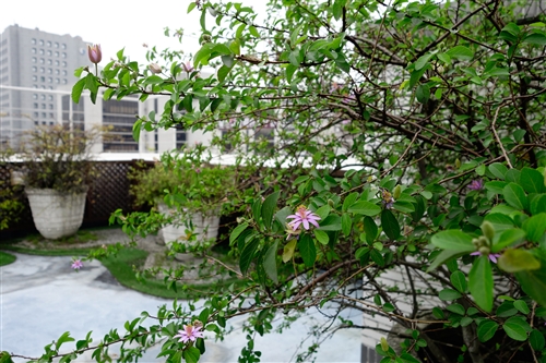 Spring is in the Air at TKU