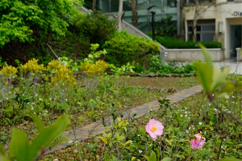 Spring is in the Air at TKU