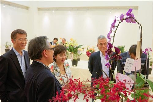 An Orchid Exhibition at the TKU Tamsui Campus