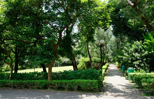 Summertime On TKU Campus