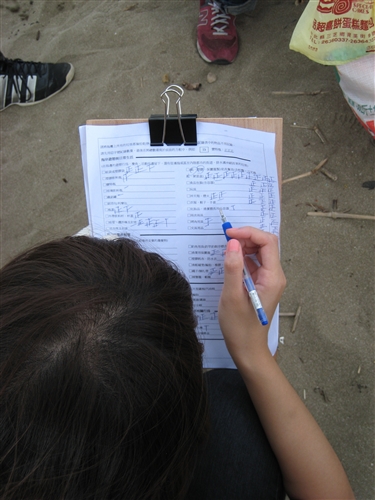 Cleaning Up the Beaches for a Better Future