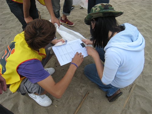 Cleaning Up the Beaches for a Better Future